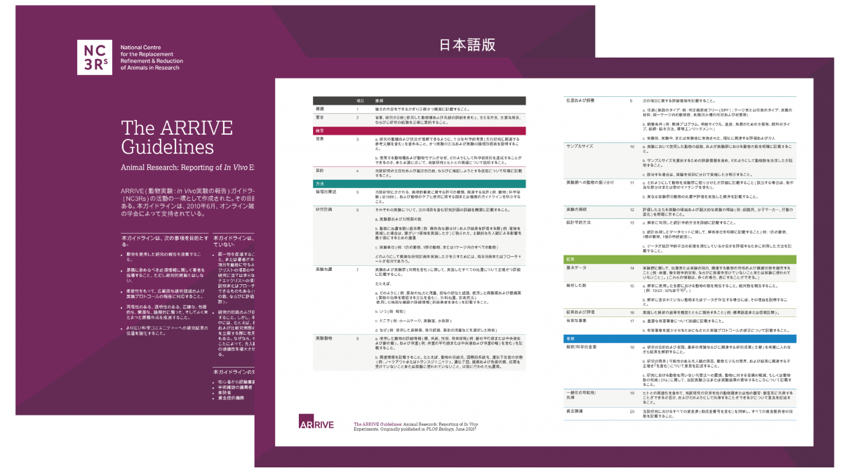 japanese-translation-arrive-guidelines